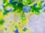Picture of COLOR BLAST VIII  