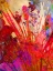 Picture of COLOR BLAST X