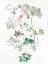 Picture of BOHO GERANIUM BOTANICAL   
