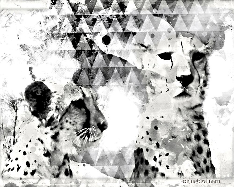 Picture of MODERN BLACK & WHITE CHEETAHS   