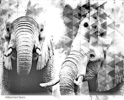 Picture of MODERN BLACK & WHITE ELEPHANTS   