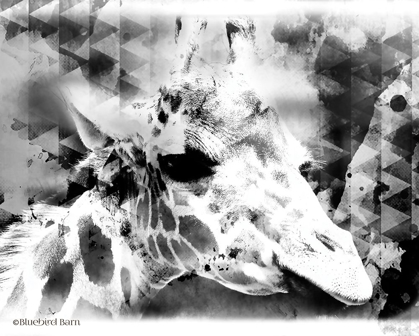 Picture of MODERN BLACK & WHITE GIRAFFE    