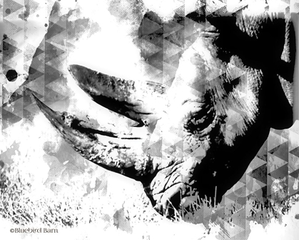 Picture of MODERN BLACK & WHITE RHINO   