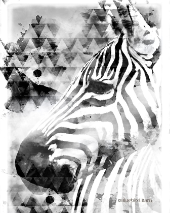 Picture of MODERN BLACK & WHITE ZEBRA     