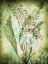 Picture of ORGANIC GREENERY IN DAMASK II  