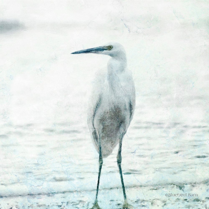 Picture of BEACH HERON