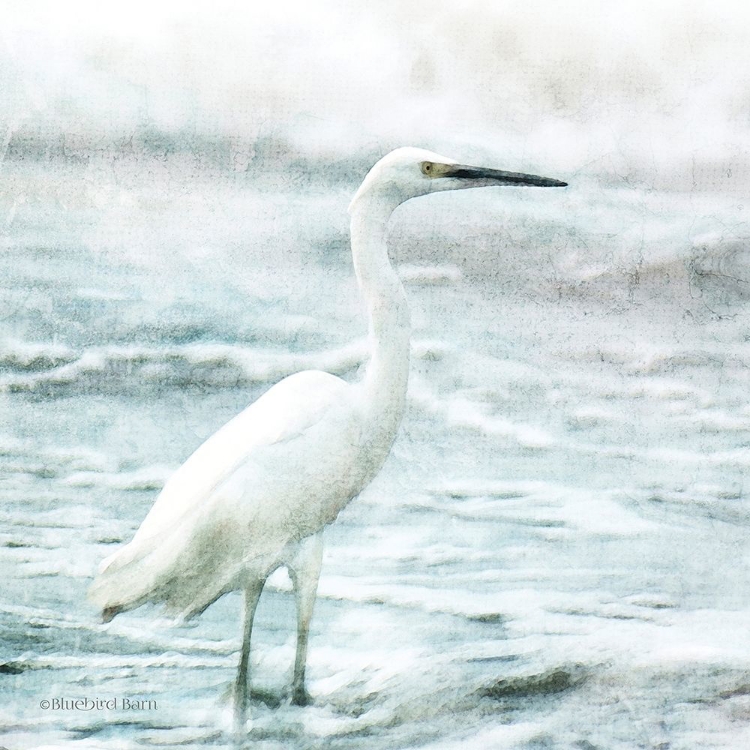 Picture of COASTAL HERON