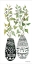 Picture of MUD CLOTH VASE IV   