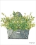 Picture of LOVE WALL BOX 