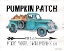 Picture of PUMPKIN PATCH OPEN DAILY