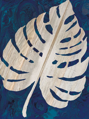 Picture of MONSTERA NAVY