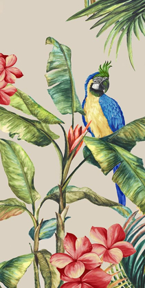 Picture of TROPICANO II 