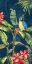 Picture of TROPICANO II 