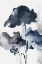 Picture of AZURA BOUQUET II 