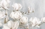 Picture of WHITE MAGNOLIA