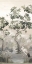 Picture of BENEATH THE SILENT LEAVES
