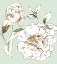 Picture of RECALLING FEELINGS