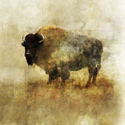 Picture of PEACEFUL BISON II