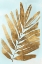 Picture of GOLDEN FERN I