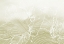 Picture of GOLDEN FLORALS 