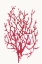 Picture of RED REEF CORAL I 