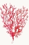 Picture of RED REEF CORAL II 