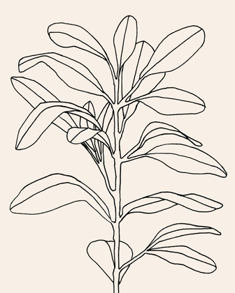 Picture of OLIVE BRANCH CONTOUR I
