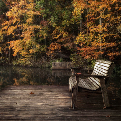 Picture of AUTUMN REST