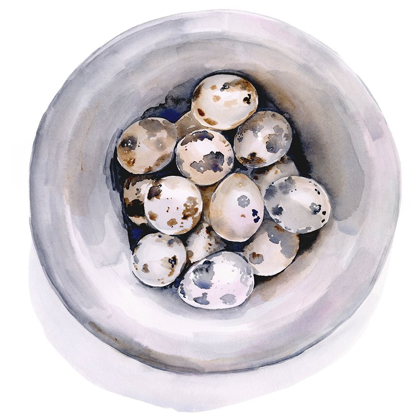 Picture of QUAIL EGG STUDY I