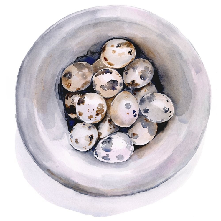 Picture of QUAIL EGG STUDY I