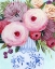 Picture of CLARITY BLOOMS II