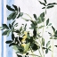 Picture of INDOOR PLANT I