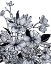 Picture of WILDFLOWER TANGLE I