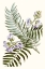 Picture of GRACEFUL BOTANICAL IV