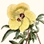 Picture of CROPPED ANTIQUE BOTANICAL VII