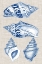 Picture of NAVY AND LINEN SHELLS II