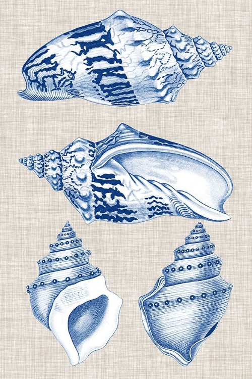 Picture of NAVY AND LINEN SHELLS II