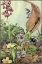 Picture of GARDEN FANTASY II