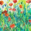 Picture of STATELY RED POPPIES III