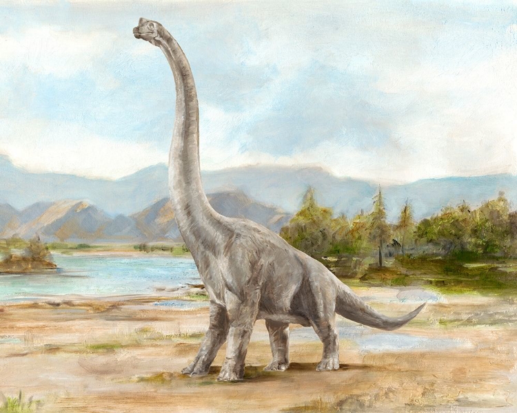 Picture of DINOSAUR ILLUSTRATION IV