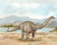 Picture of DINOSAUR ILLUSTRATION V