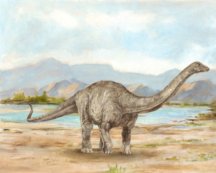 Picture of DINOSAUR ILLUSTRATION V