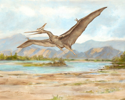 Picture of DINOSAUR ILLUSTRATION VI