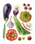 Picture of HOME HARVEST II