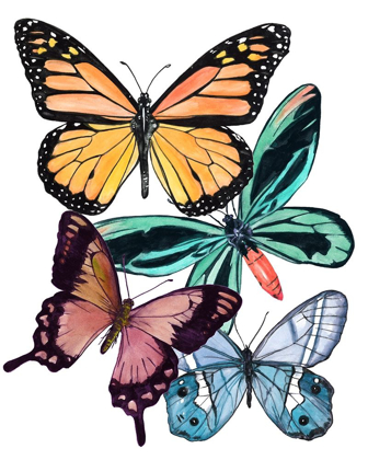 Picture of BUTTERFLY SWATCHES I