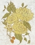 Picture of BARKCLOTH III