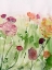 Picture of AMONG THE WATERCOLOR WILDFLOWERS II