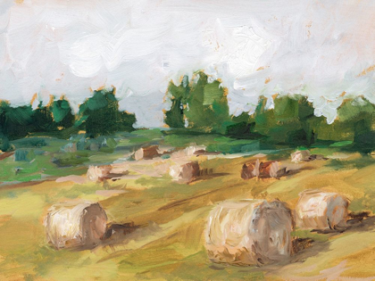 Picture of HAY FIELD I
