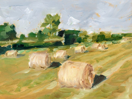 Picture of HAY FIELD II