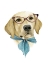 Picture of VOGUE DOG IV